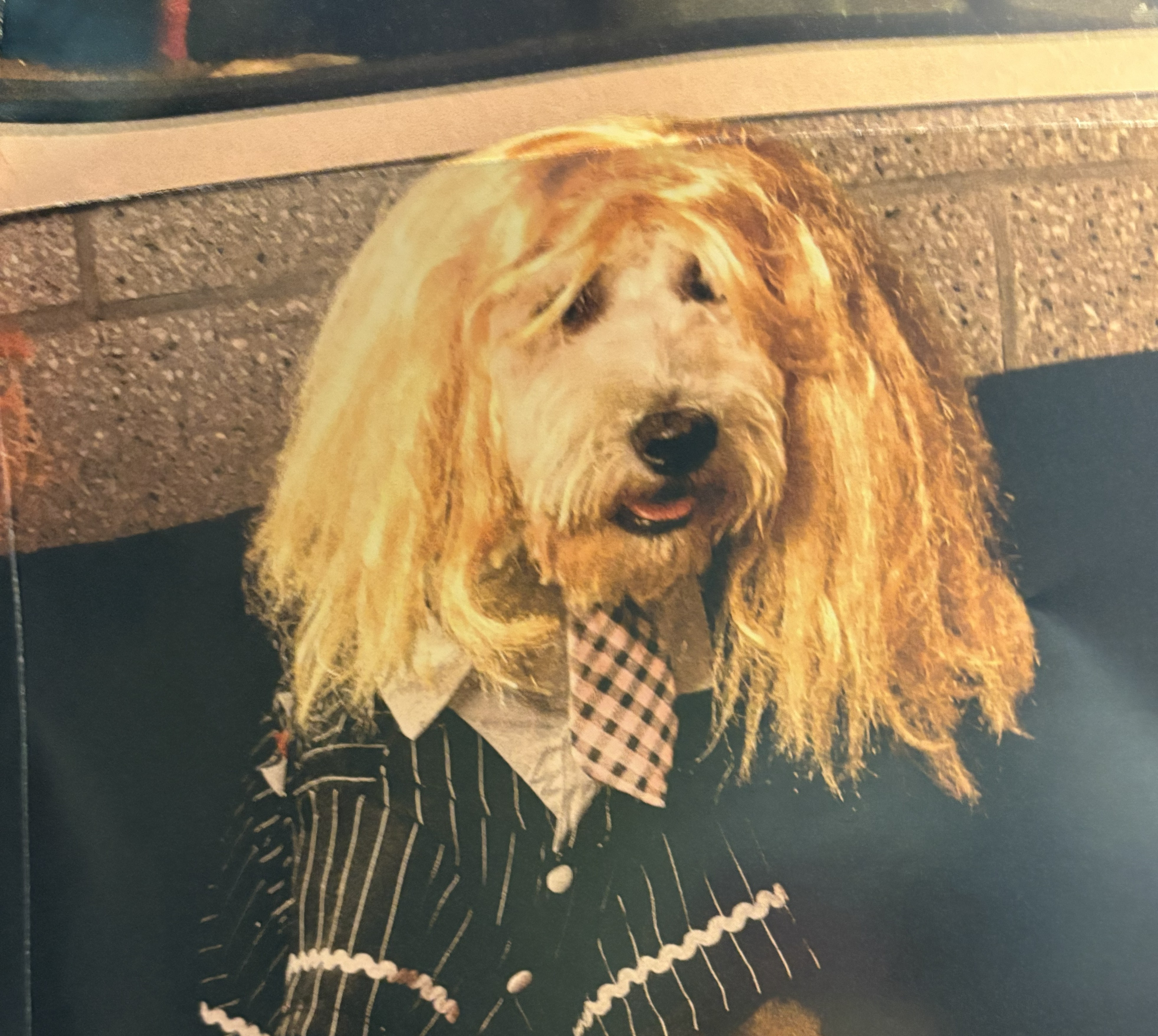 Description of the image